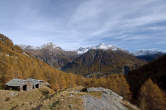 20091028_131531 Colvedro.jpg